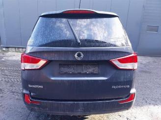 Ssang yong Rodius Rodius, MPV, 2005 2.2 SV 220 e-XDi 16V 2WD picture 13