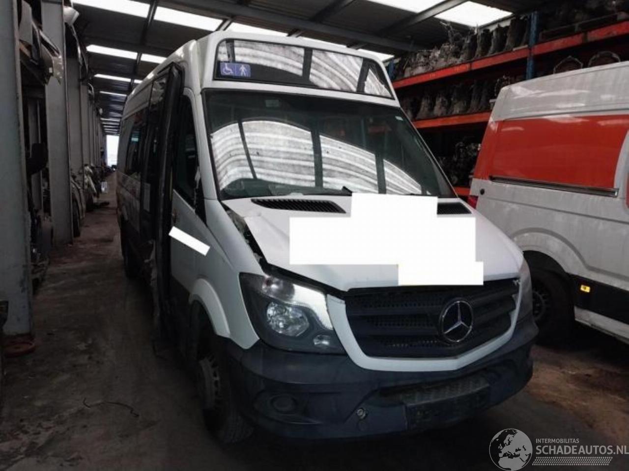 Mercedes Sprinter Sprinter 3,5t (906.73), Bus, 2006 / 2020 313 CDI 16V