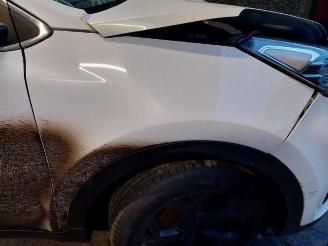 Kia Sportage  picture 14