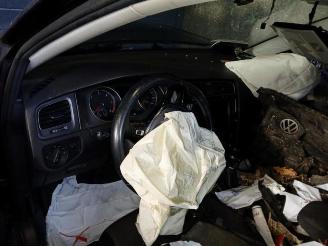 Volkswagen Golf Golf VII (AUA), Hatchback, 2012 / 2021 1.6 TDI 16V picture 13