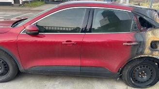 Ford Kuga Kuga III (DFK), SUV, 2019 1.5 EcoBlue picture 4