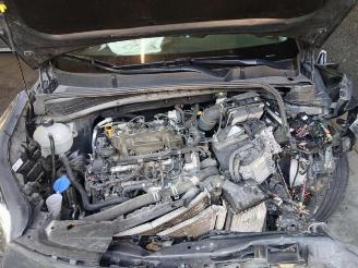 Kia Sportage Sportage (QL), Terreinwagen, 2015 / 2022 1.6 CRDi 16V 136 picture 15