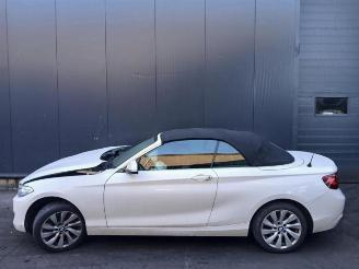BMW 2-serie 2 serie (F23), Cabrio, 2014 / 2021 228i 2.0 Turbo 16V picture 4