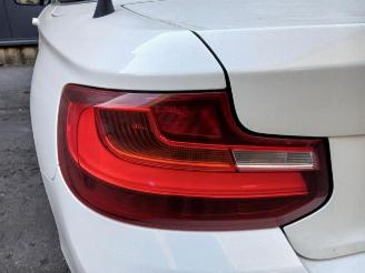 BMW 2-serie 2 serie (F23), Cabrio, 2014 / 2021 228i 2.0 Turbo 16V picture 13