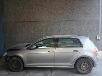 Volkswagen Golf Golf VII (AUA), Hatchback, 2012 / 2021 1.6 TDI 16V picture 3