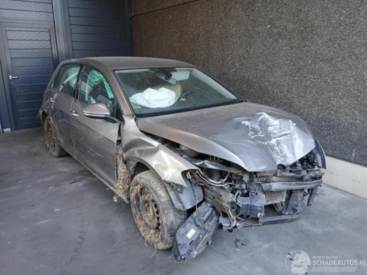 Volkswagen Golf Golf VII (AUA), Hatchback, 2012 / 2021 1.6 TDI 16V