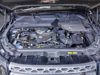 Land Rover Discovery Sport Discovery Sport (LC), Terreinwagen, 2014 2.0 TD4 150 16V picture 10