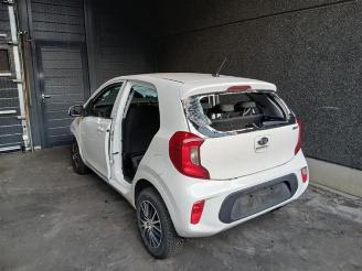 Kia Picanto Picanto (JA), Hatchback, 2017 1.0 12V picture 9
