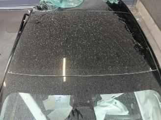 Tesla Model 3 Model 3, Sedan, 2017 Long Range AWD 75 kWh picture 13