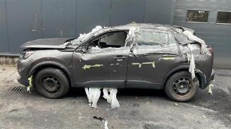 Peugeot 2008 2008 (UD/UK/UR/US/UX), MPV, 2019 1.5 BlueHDi 110 picture 2