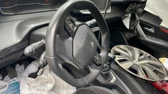 Peugeot 2008 2008 (UD/UK/UR/US/UX), MPV, 2019 1.5 BlueHDi 110 picture 11