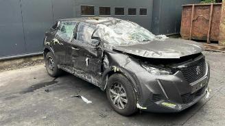 Peugeot 2008 2008 (UD/UK/UR/US/UX), MPV, 2019 1.5 BlueHDi 110 picture 3