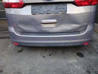 Ford Grand C-Max Grand C-Max (DXA), MPV, 2010 / 2019 1.0 Ti-VCT EcoBoost 12V 125 picture 12