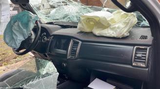 Ford Ranger Ranger, Pick-up, 2011 2.0 EcoBlue 16V 4x4 picture 17