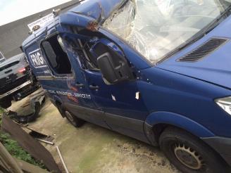 disassembly passenger cars Mercedes Sprinter  2009/1