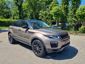 Auto incidentate Land Rover Range Rover Evoque 20d 110KW AWD Aut. Pano 2019/5