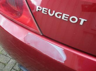 Peugeot 407 coupe picture 8