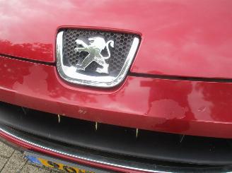 Peugeot 407 coupe picture 5