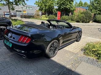 Ford Mustang 5.0 GT AUT CABRIO 50 YEARS NAVI/CLIMA/PDC/CAMERA/LED VOL! picture 10