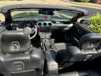 Ford Mustang 5.0 GT AUT CABRIO 50 YEARS NAVI/CLIMA/PDC/CAMERA/LED VOL! picture 19