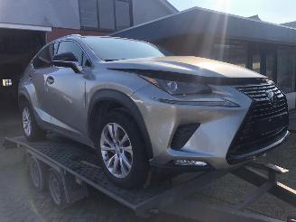 škoda osobní automobily Lexus NX NX300 AWD 2020/6