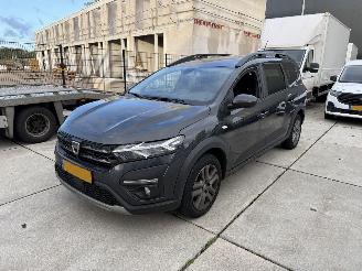 Schadeauto Dacia Jogger 1.0 TCE 7 PERSOONS 81 KW-PDC-NAVI 2022/6