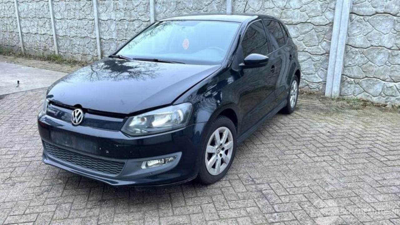 Volkswagen Polo Polo V (6R), Hatchback, 2009 / 2017 1.2 TDI 12V BlueMotion