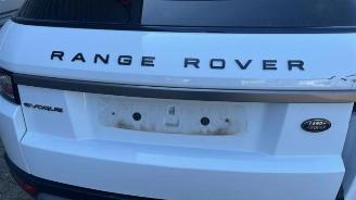 Land Rover Range Rover Evoque Range Rover Evoque (LVJ/LVS), SUV, 2011 / 2019 2.2 eD4 16V picture 23
