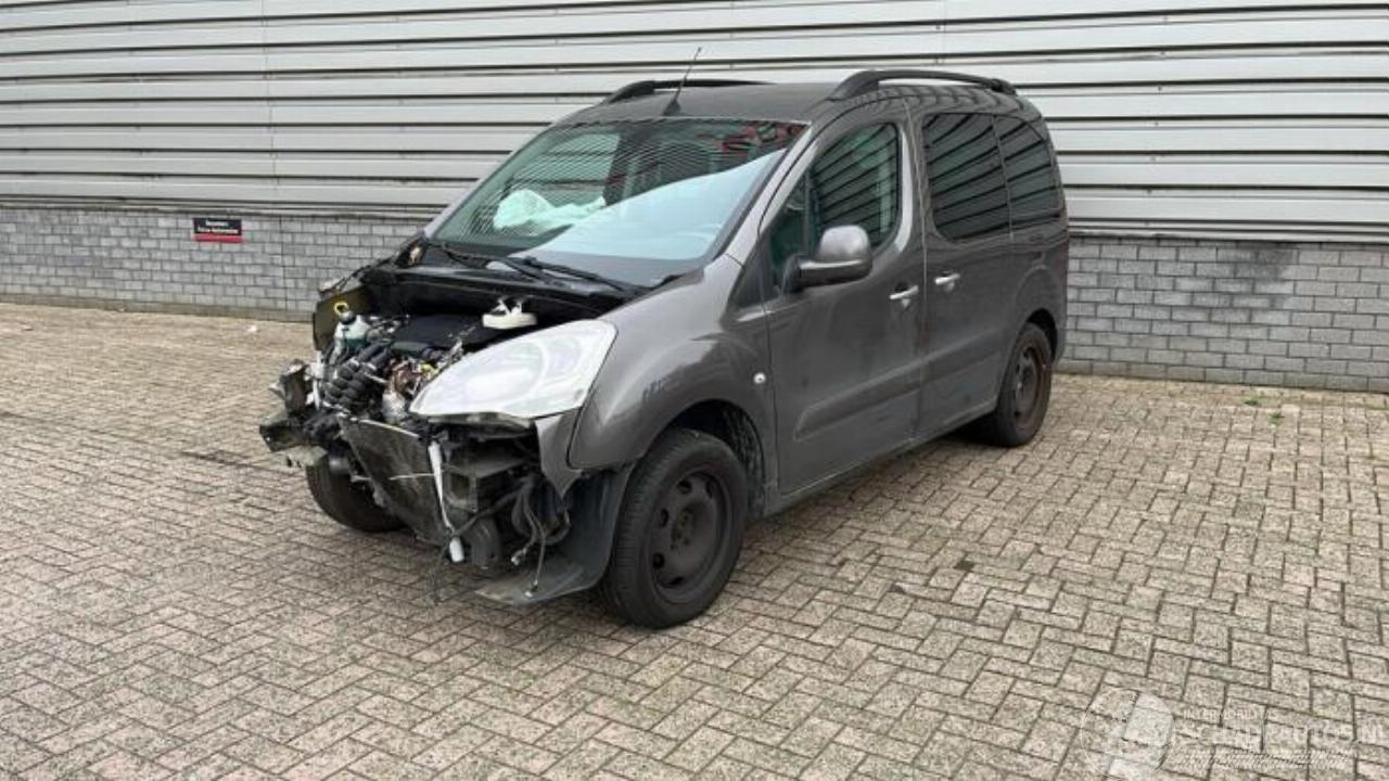 Citroën Berlingo Berlingo Cinqspace, Multispace, MPV, 2008 / 2021 1.2 12V PureTech 110