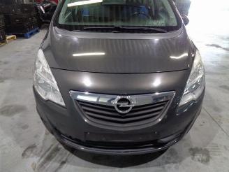 Opel Meriva 1.7 CDTI picture 19