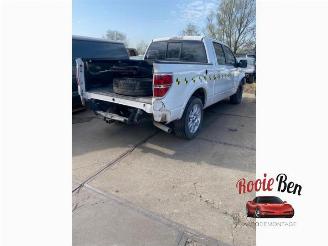 Ford USA F-150 F-150 Standard Cab, Pick-up, 2014 5.0 Extended Cab picture 2