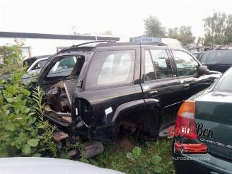 Chevrolet TrailBlazer TrailBlazer (KC), SUV, 2001 / 2008 4.2 24V AWD picture 2