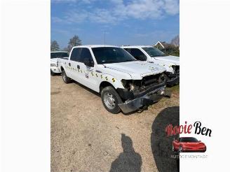 Ford USA F-150 F-150 Standard Cab, Pick-up, 2014 5.0 Crew Cab picture 2