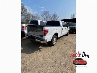 Ford USA F-150 F-150 Standard Cab, Pick-up, 2014 5.0 Crew Cab picture 3