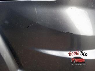 Dodge Journey Journey, MPV, 2008 / 2020 2.4 16V picture 18