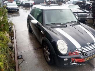 Mini Mini  picture 12