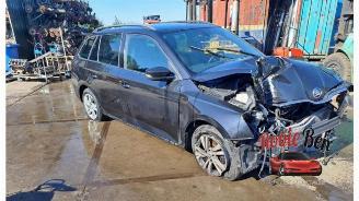 Skoda Fabia Fabia III Combi (NJ5), Combi 5-drs, 2014 / 2022 1.0 TSI 12V picture 2