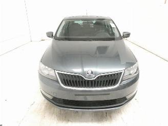 Skoda Rapid AMBITION picture 2