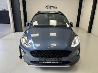 Ford Fiesta ACTIVE CROSSOVER picture 9