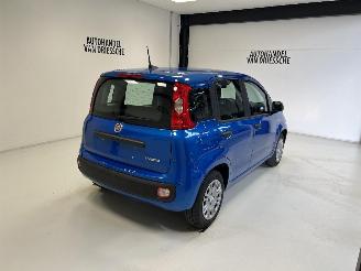 Fiat Panda  picture 3