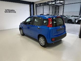 Fiat Panda  picture 5