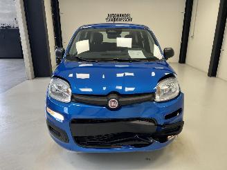 Fiat Panda  picture 7