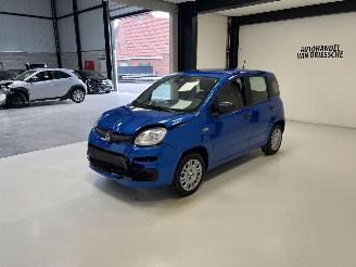 Fiat Panda  picture 6