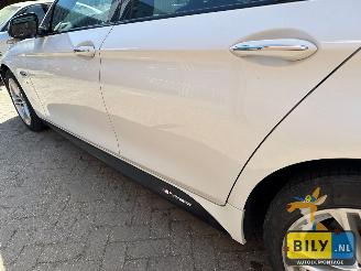 BMW  F10 518D Alpinewiess 3 picture 5