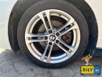 BMW  F10 518D Alpinewiess 3 picture 10