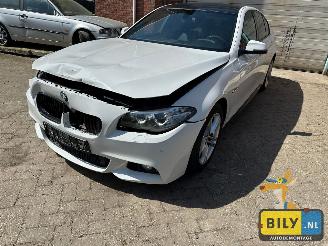 Autoverwertung BMW Mokka-E F10 518D Alpinewiess 3 2014/1