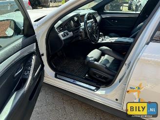 BMW  F10 518D Alpinewiess 3 picture 12