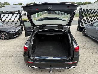 Mercedes E-klasse E-220d-T / Panorama picture 17