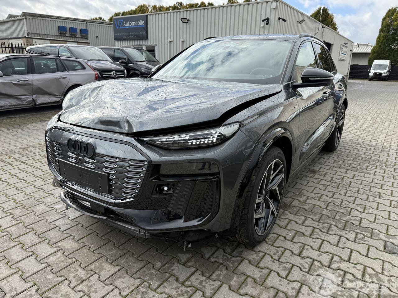 Audi Q6 Q6 e-Tron 306 pk Performance  S-line /Panorama