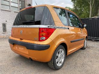 Peugeot 1007 DOLCE picture 16